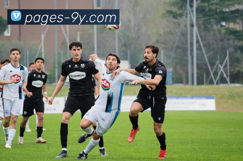 九游官网APP 封面图